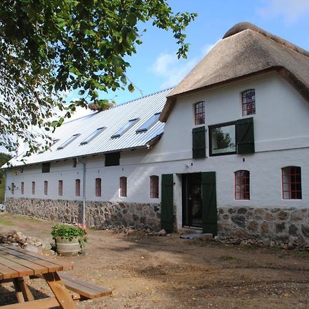 Hesselhogaard Bed & Breakfast กรินด์สเตด ภายนอก รูปภาพ
